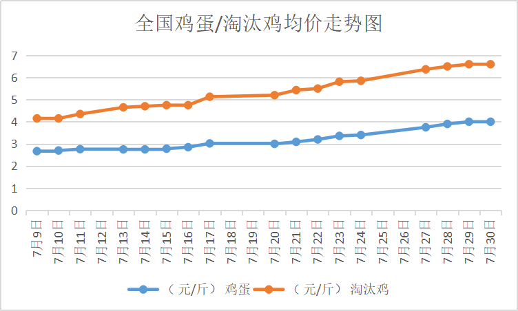 北京大洋路雞蛋今日行情，探尋內(nèi)心平靜的雞蛋之旅