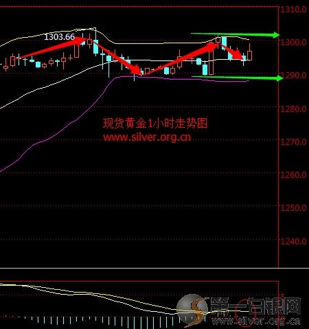 黃金價格走勢圖今日，友情與陪伴的溫馨故事