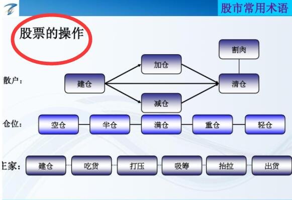 科技賦能股市，引領(lǐng)你進(jìn)入炒股票的新世界！